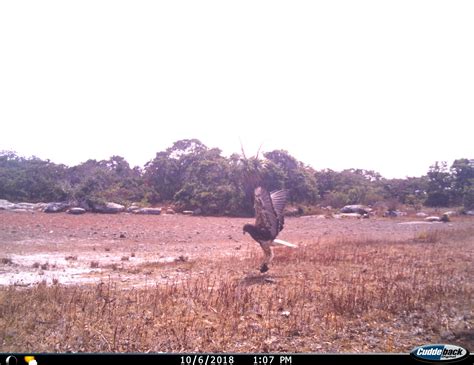 184 Best Oaxaca Mexico Images On Pholder Artefact Porn Earth Porn And Whatsthisbug