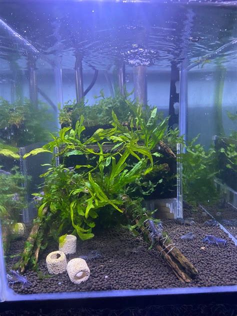 Under Gravel Filter Set Pet Supplies Homes And Other Pet Accessories On