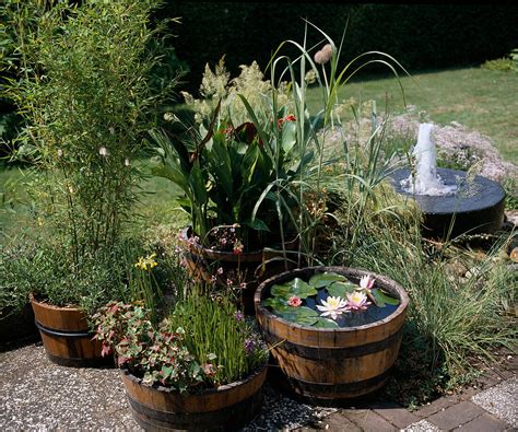 Bepflanzte Holzf Sser Auf Terrasse Bild Kaufen Image