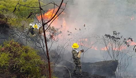 Desastre Ambiental En Santander Deja Hectáreas Arrasadas Y Fauna