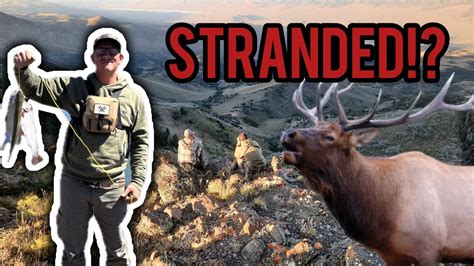 Big Bulls Big Mulies And Rainbow Trout Archery Hunting Elk In Utah