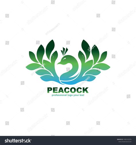 Peacock Logo Design Template Vector Illustration Stock Vector Royalty