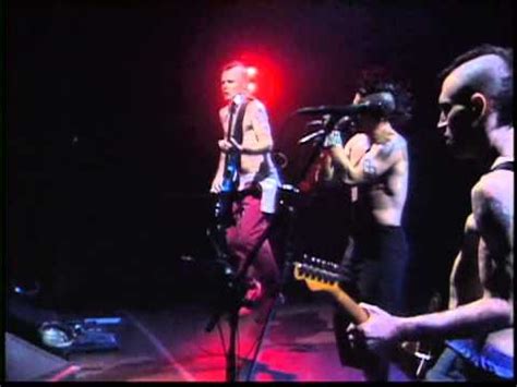 Sir Psycho Sexy By Red Hot Chili Peppers Songfacts