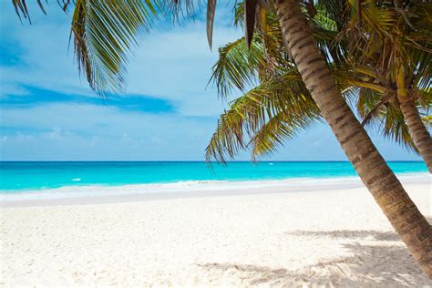 wallpaper white sand beach peakpx