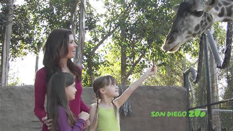 San Diego Zoo Youtube