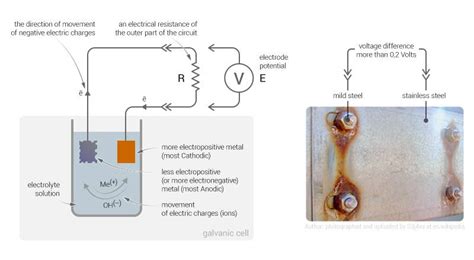 The Galvanic Series The Essential Guide Engineeringclicks