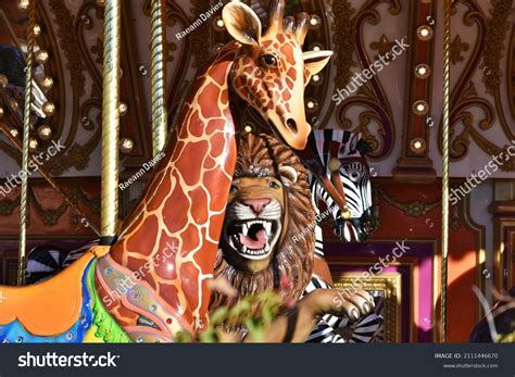 carousel zebra images stock  vectors shutterstock