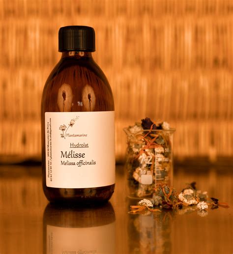Hydrolat de Mélisse | plantamarine.com