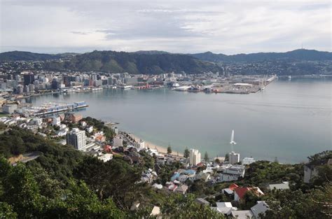 Wellington City Scenic Tour 2019