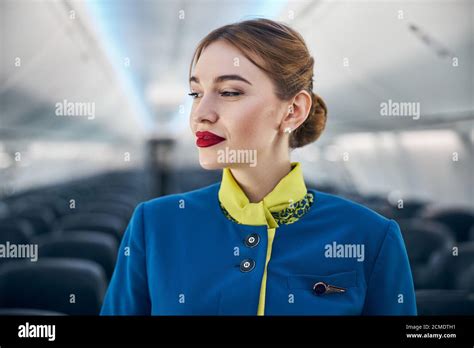 beautiful air hostess   airplane smiling stock photo alamy