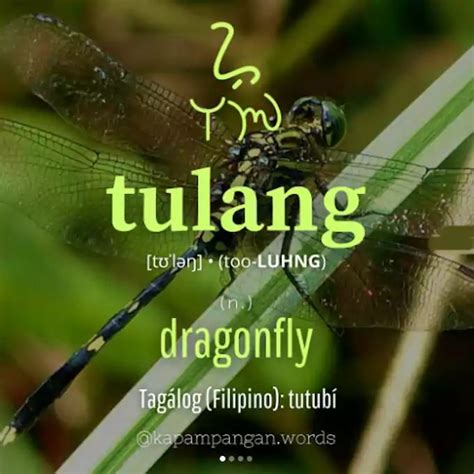 Tulang - The Philippines Today