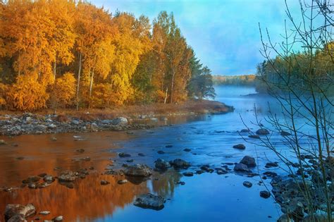 880548 Rivers Stones Autumn Scenery Trees Rare Gallery HD Wallpapers