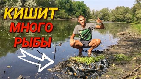 Ловушка для рыбы | Рыбы просто кишит - YouTube