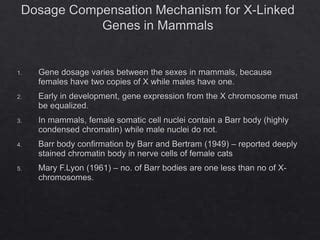 Sex Determination Ppt