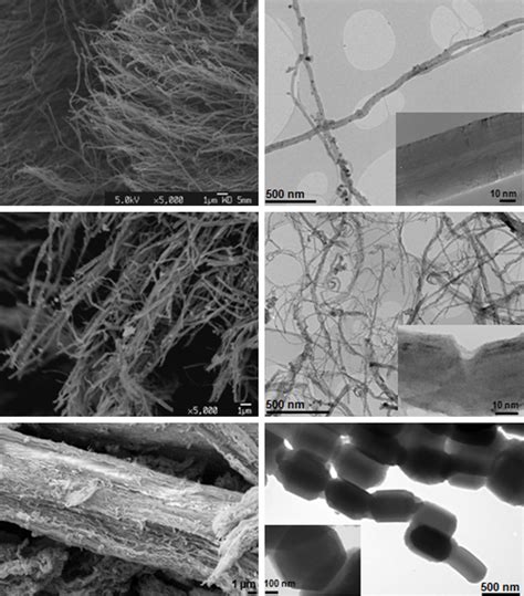 sem left  tem  images  solid supports    work