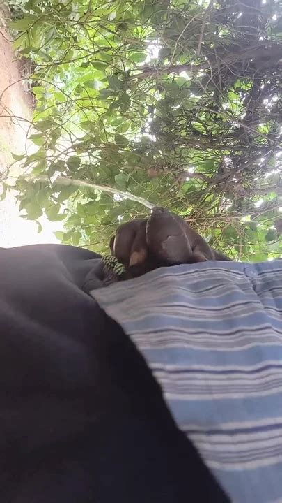 Road Side Piss Gay Fat Fat Porn Feat CarvingShovel XHamster