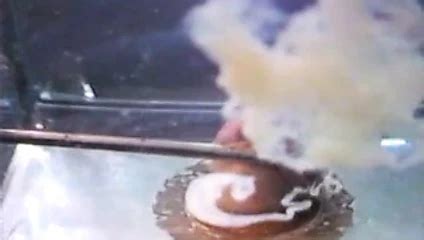 Free Underwater Cum Gay Porn Videos Xhamster