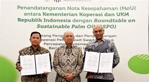 Kemenkopukm Bersama Rspo Kuatkan Kapasitas Petani Sawit Kembangkan