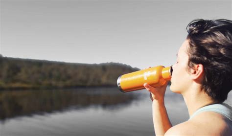 Quelle Eau Boire Et Comment Purifier LEau Du Robinet Orinko