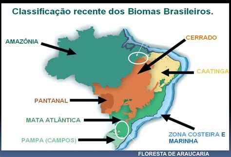 Mapa Do Brasil Os Biomas Image To U