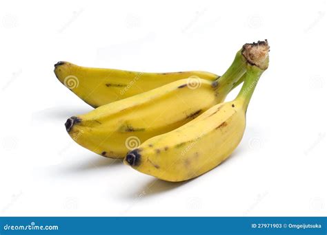 Sweet Plantain Bananas stock image. Image of tropical - 27971903