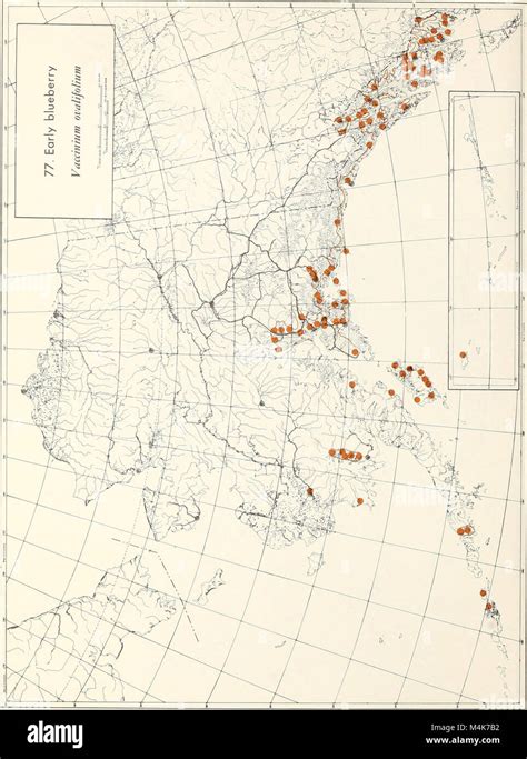 Atlas Of United States Trees Volume 2 Alaska Trees And Common Shrubs