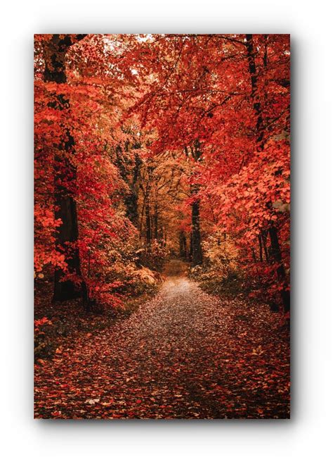 Naked Quando A Can O Emociona E Faz Transparecer A Alma Vivendo Bem Feliz