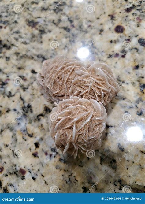 Desert Rose Rock Formation Stock Photo Image Of Food 209642164
