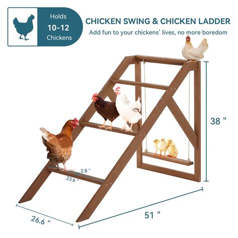 Chicken Swing Set| Chicken Toys – PETSFIT