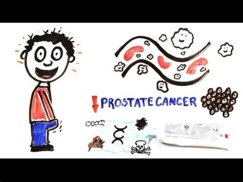 Free Cartoon Masturbation Porn Videos XHamster