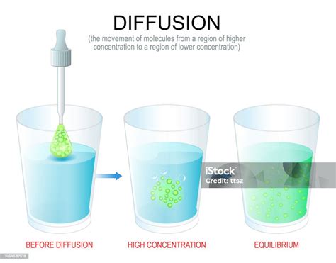 Difusão Simples E Facilitada - Vetores de Difusão Experimento Com Água Em Copos Pipeta Com Corante E ...