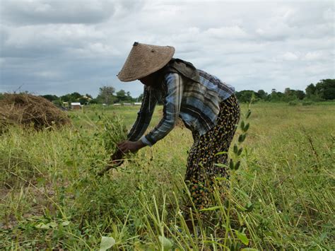 BII Commits $75 Million to Second Green Basket Bond with Symbiotics for