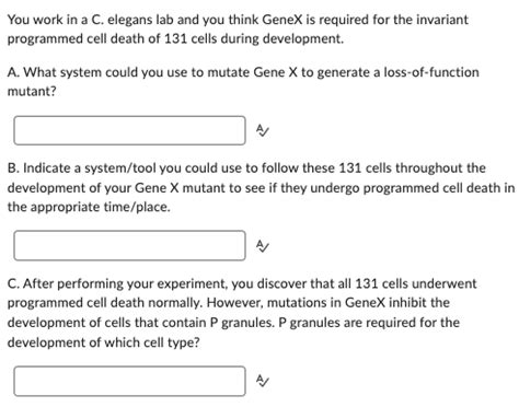 Solved You work in a C. elegans lab and you think GeneX is | Chegg.com