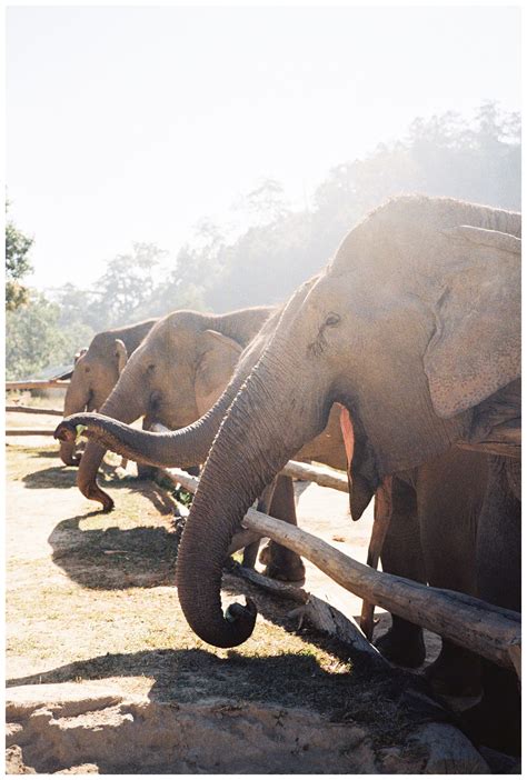 Thailand Vacation | Chiang Mai, Bangkok, Phuket Travel | Thai Honeymoon