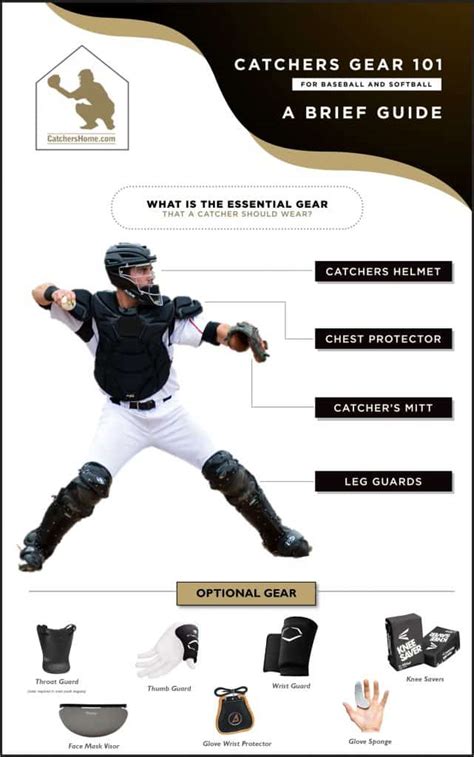 An Introduction and Overview of Catchers Gear [Infographic ...