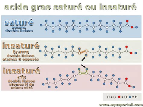 Acides gras insaturés définition et explications