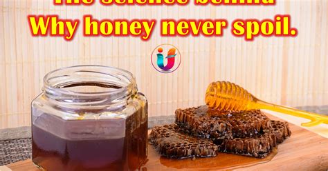 The Science Behind Why Honey Never Spoil