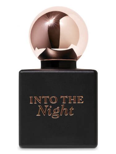 Into the Night Bath and Body Works perfume - a fragrance for women 2019