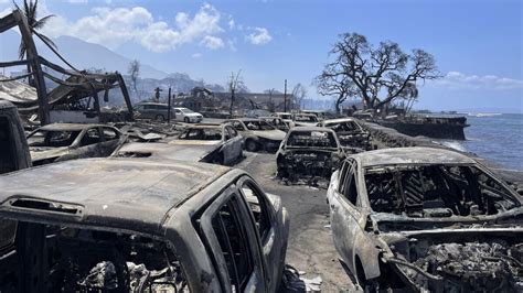 Asciende A 89 La Cifra De Muertos Por Los Devastadores Incendios Forestales En Hawái El Men