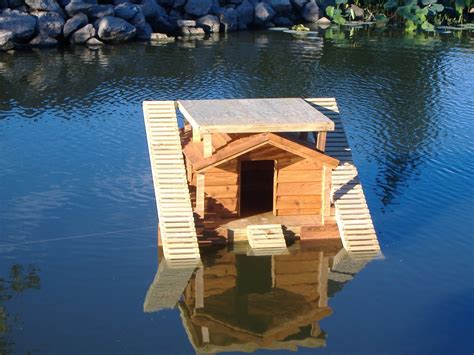 Diy Floating Duck House Plans House Decor Concept Ideas