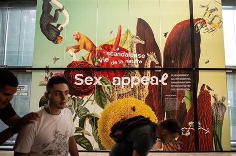 Sex Appeal Lintimité De La Nature Exposée Au Muséum De Toulouse