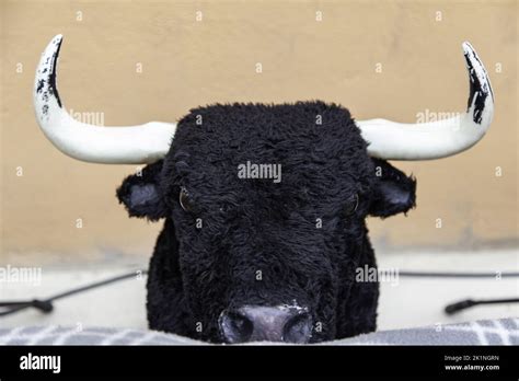 Detail Of Wild And Dangerous Animal Spanish Tradition Stock Photo Alamy