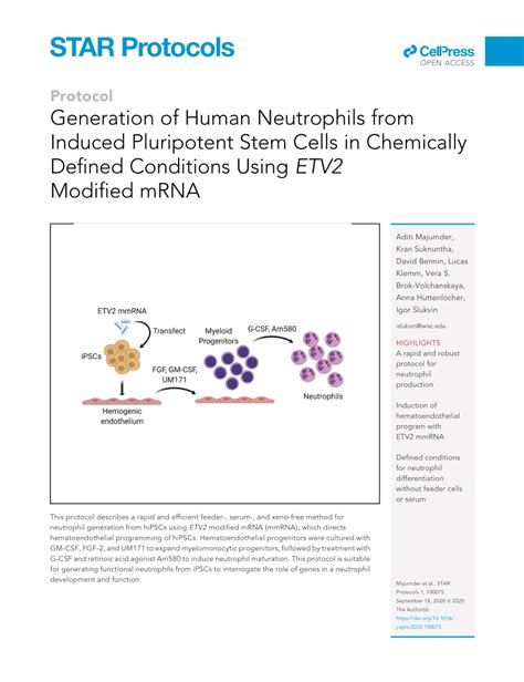 Pdf Generation Of Human Neutrophils From Induced Pluripotent Stem