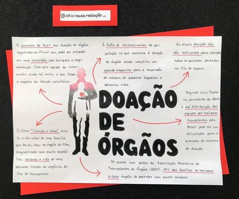 Doacao De Orgaos Redacao - Redação Doação De órgãos - BRAINCP