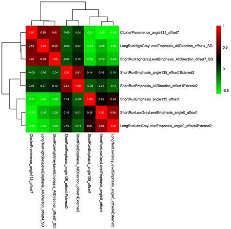 Frontiers Ct Imaging Based Analysis Of Invasive Lung Adenocarcinoma Presenting As Ground Glass