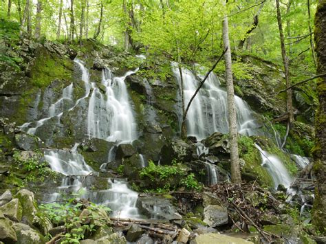 Waterfalls And Greenery By Dseomn On Deviantart