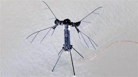 Revolutionary Insect-Based Drone Is Only 2.6-Inches Large but Has One ...