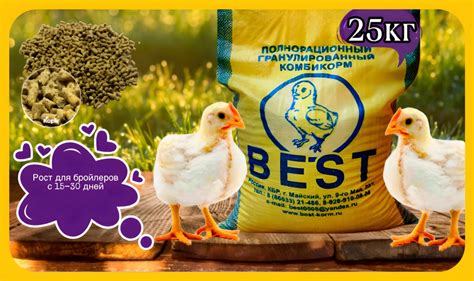 Комбикорм для бройлеров BEST Рост 25 КГ - купить с доставкой по ...