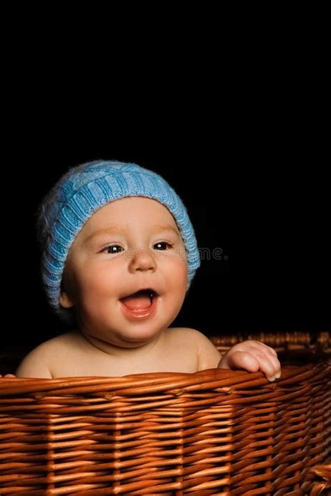 Beautiful Babe On A Black Background In The Basket Stock Image Image Of Pink Adorable 268135457