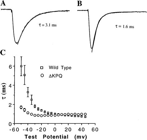 compares inactivation of the macroscopic current in wild-type and ...